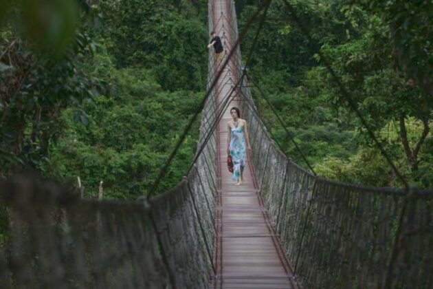 Yalong Bay Tropical Paradise Forest Park