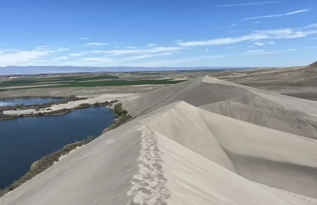 Bruneau Dunes State Park