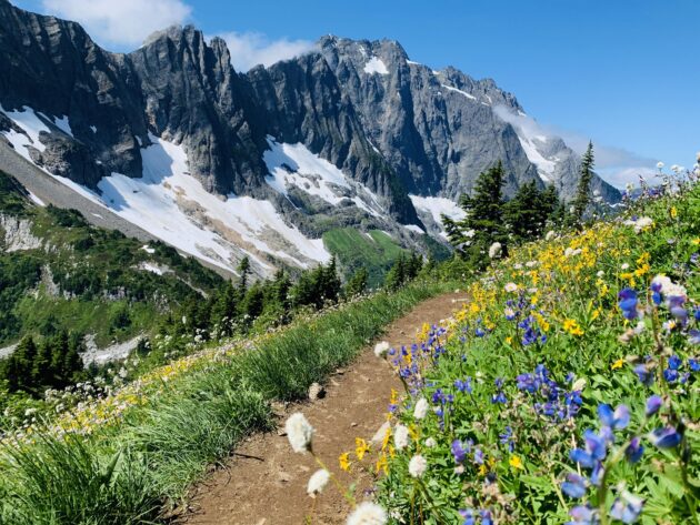 Cascade Pass and Sahale Arm