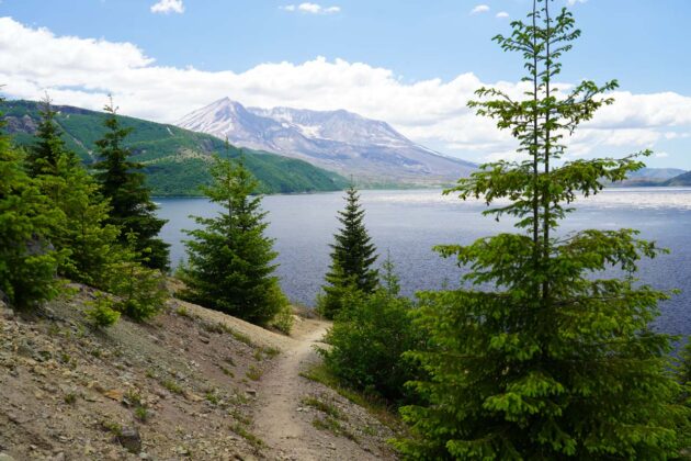 Harmony Trail