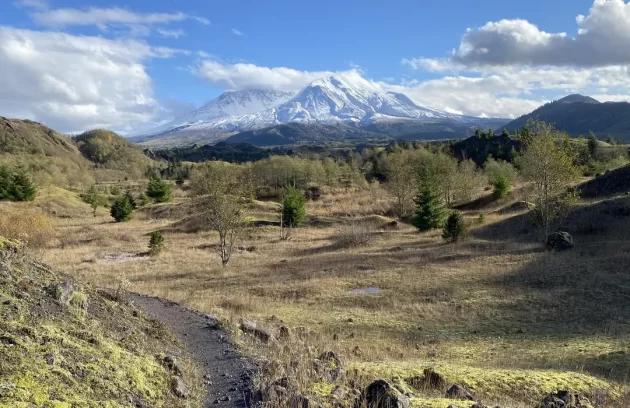 Hummocks Trail