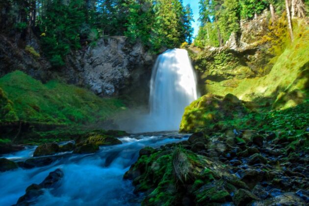 Koosah and Sahalie Falls Trail