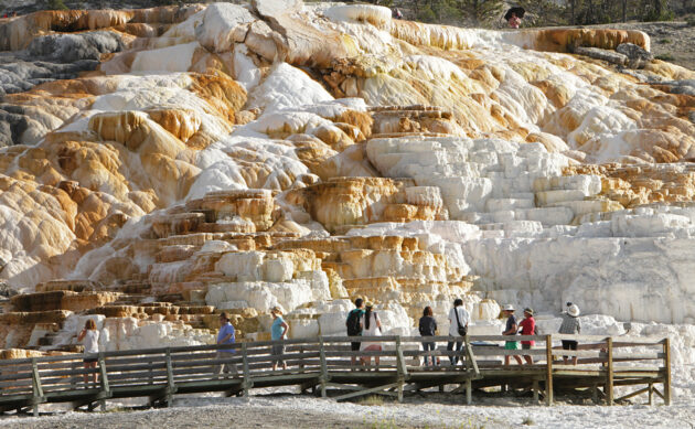Mammoth Hot Springs