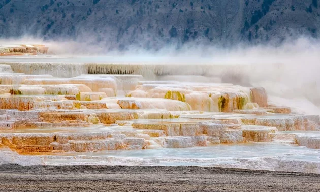 Mammoth Hot Springs
