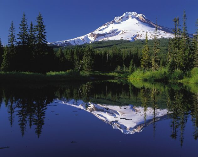 Mirror Lake Trail