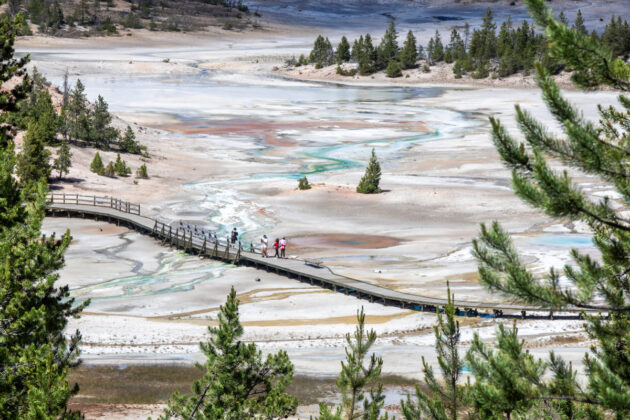 Norris Geyser Basin