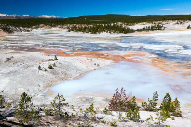 Norris Geyser Basin