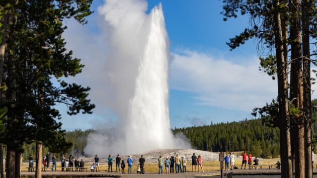 Old Faithful
