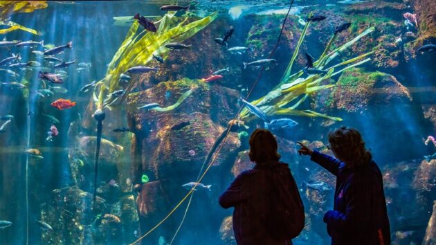 Oregon Coast Aquarium