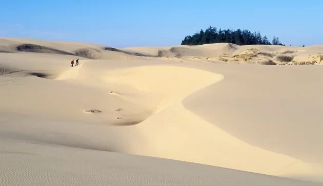 Oregon Dunes National Recreation Area