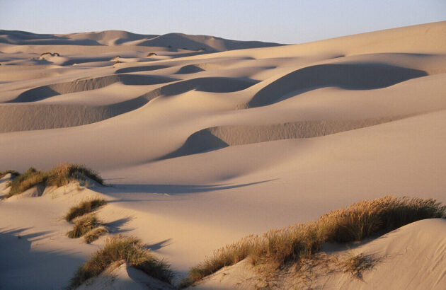 Oregon Dunes National Recreation Area