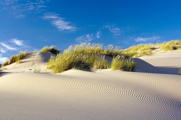 Oregon Dunes National Recreation Area
