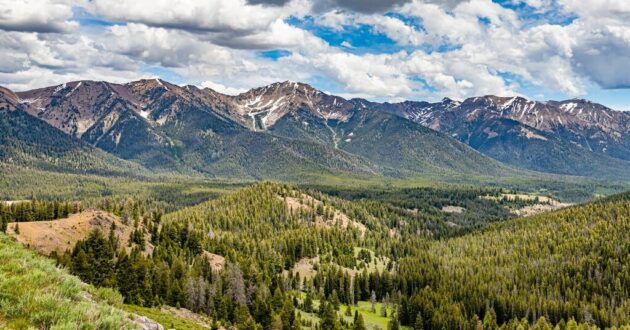 Sawtooth National Forest