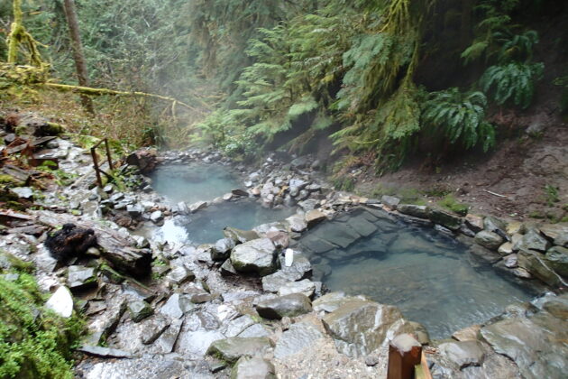 Terwilliger Hot Springs