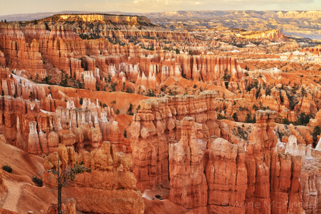 Bryce Point