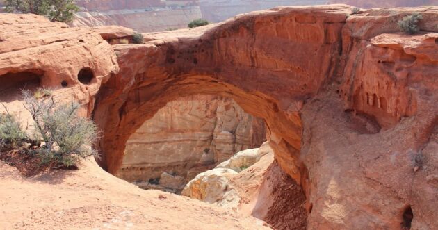 Cassidy Arch