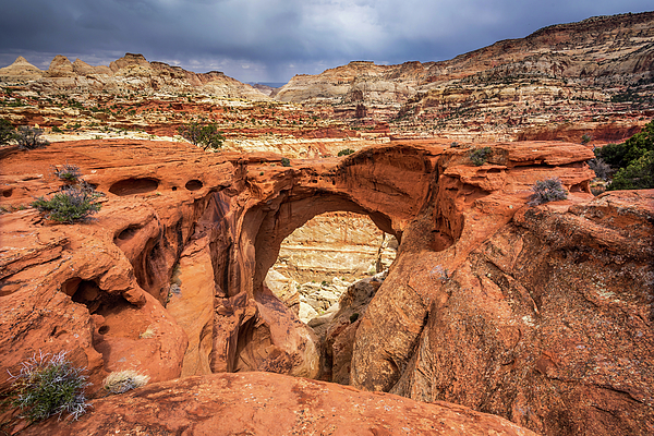 Cassidy Arch