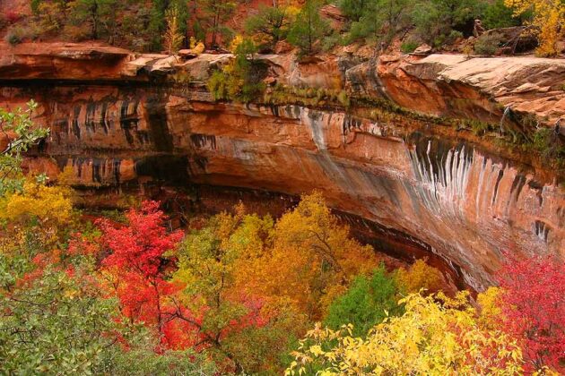 Emerald Pools Trail