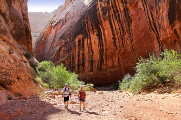 Grand Wash