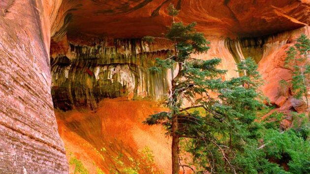 Kolob Canyons