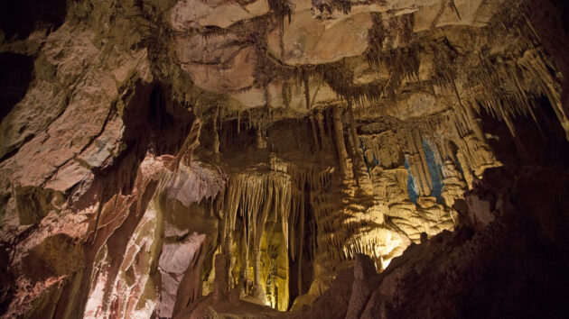 Lehman Caves Tour