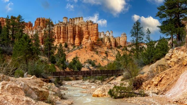 Mossy Cave Trail