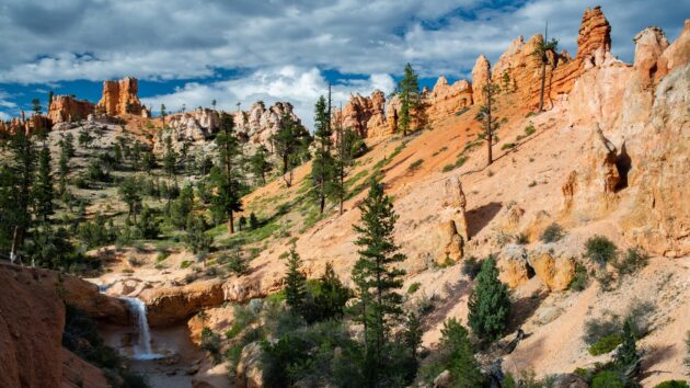 Mossy Cave Trail