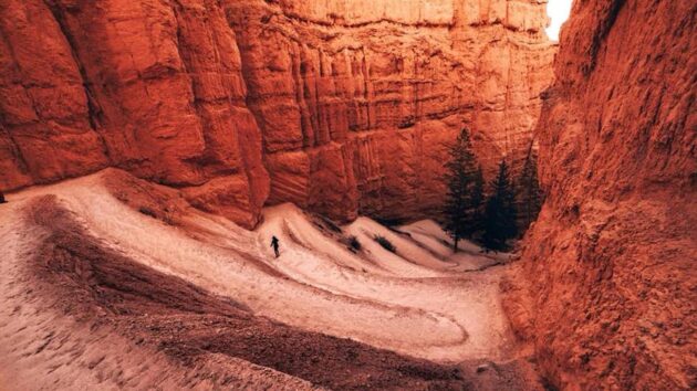 Navajo Loop Trail