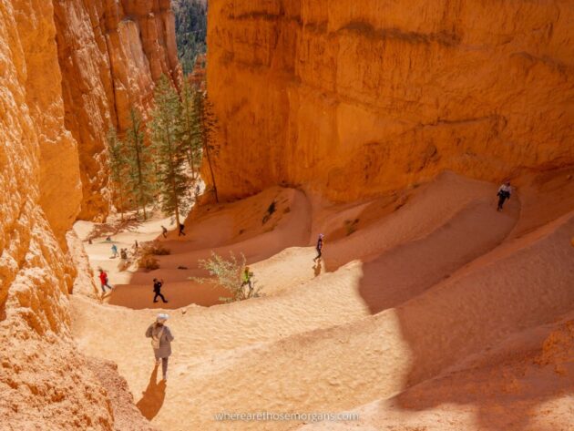 Navajo Loop Trail