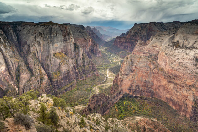 Observation Point