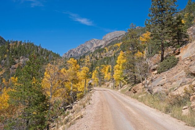 Old Fall River Road