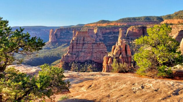 Rim Trail