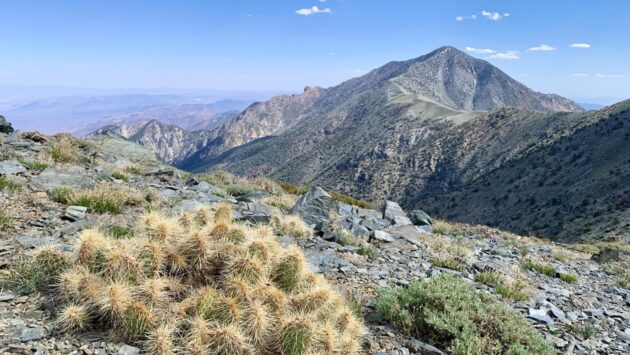 Telescope Peak