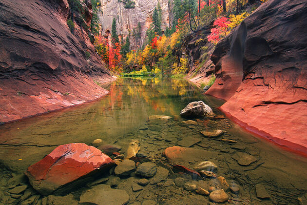 West Fork of Oak Creek