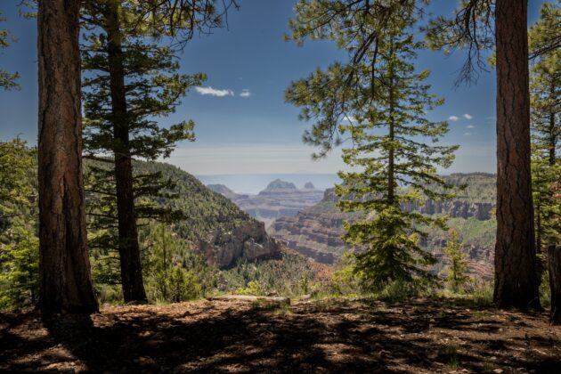 Widforss Trail