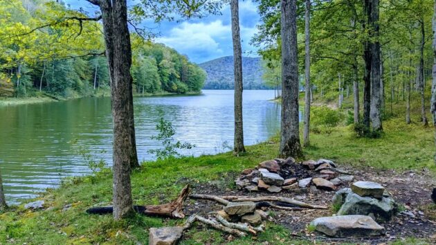 Allegheny National Forest