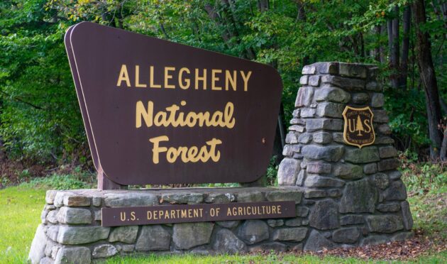 Allegheny National Forest