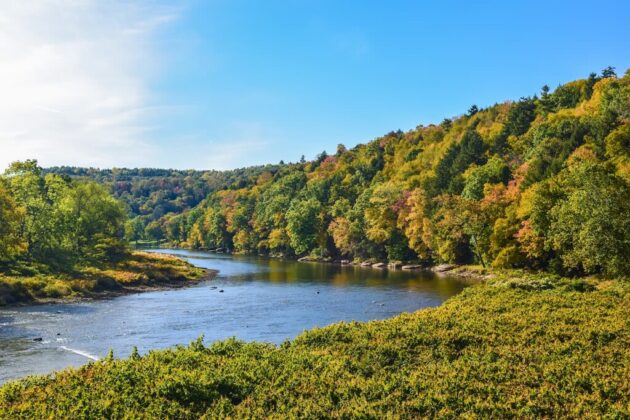 Allegheny National Forest