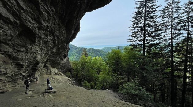 Alum Cave Trail