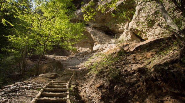 Alum Cave Trail