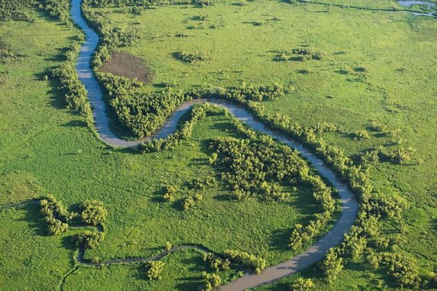 Atchafalaya Basin