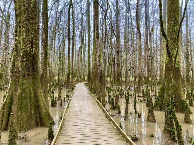 Boardwalk Loop Trail