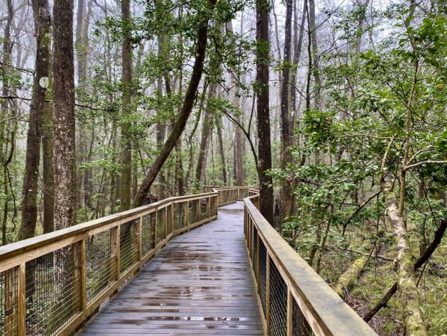 Boardwalk Loop Trail