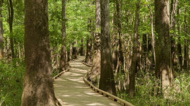 Boardwalk Loop Trail