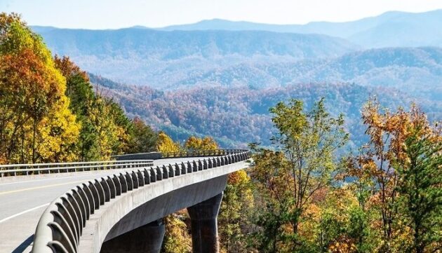 Cades Cove Loop Road