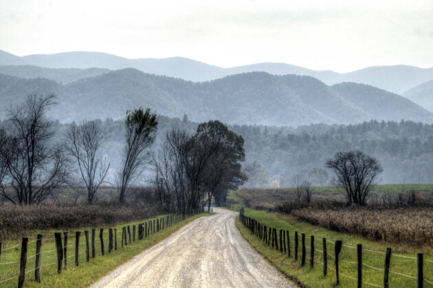 Cades Cove Loop Road