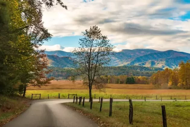 Cades Cove Loop Road
