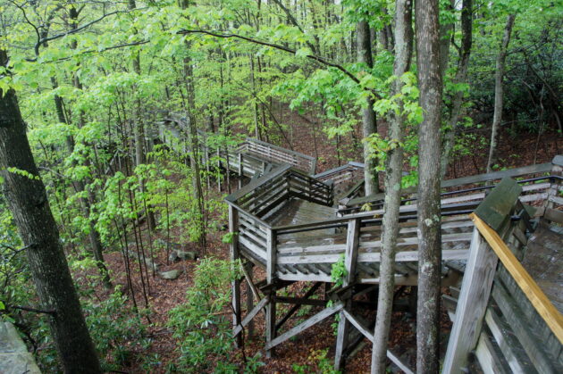 Canyon Rim Overlook Boardwalk