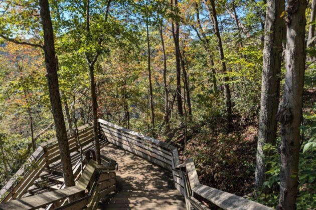 Canyon Rim Overlook Boardwalk