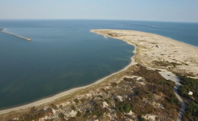 Cape Henlopen State Park